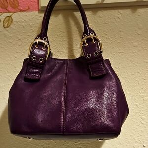 Tignello Leather Purple bag.